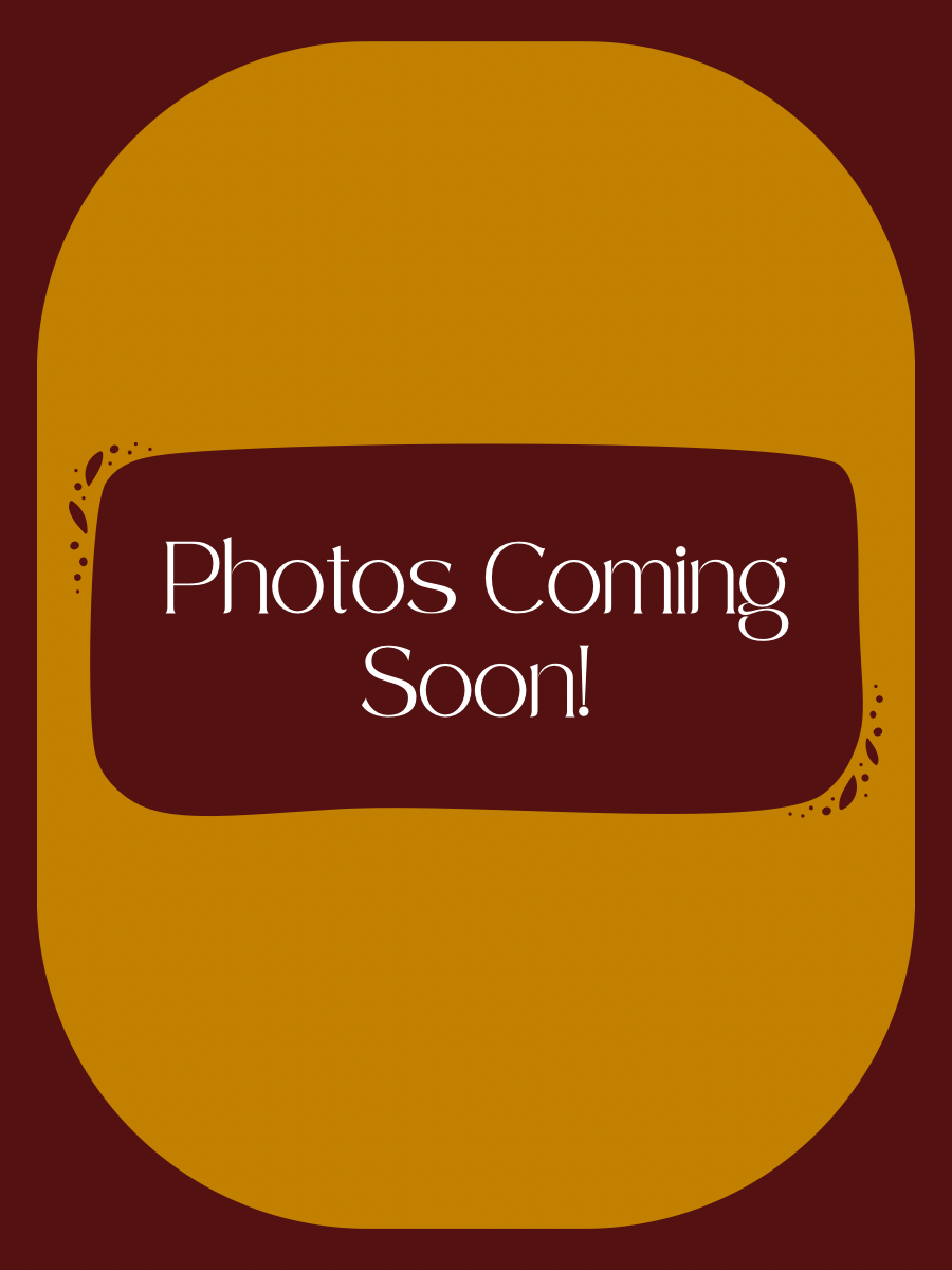 Full Chain or Cord Replacement